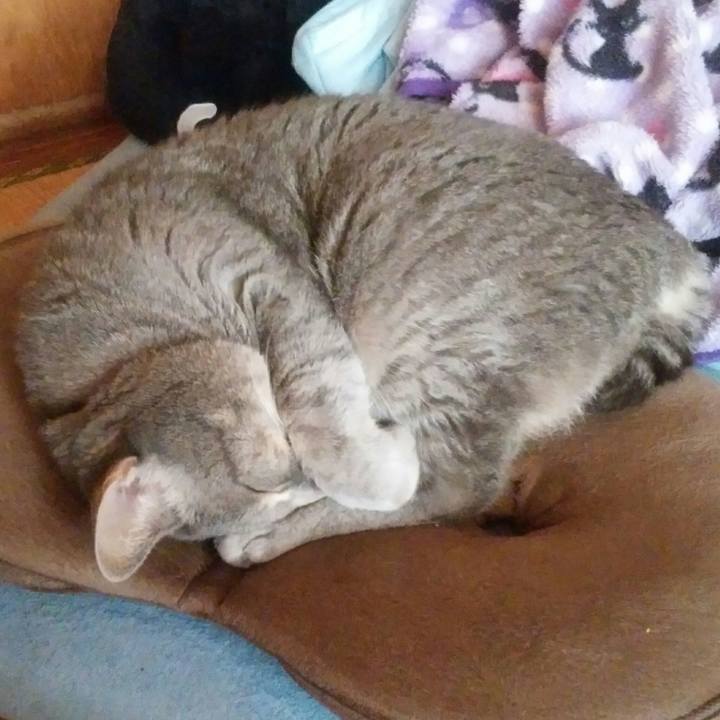 64f3cbc1 7a19 4443 9907 a6ae5f679429