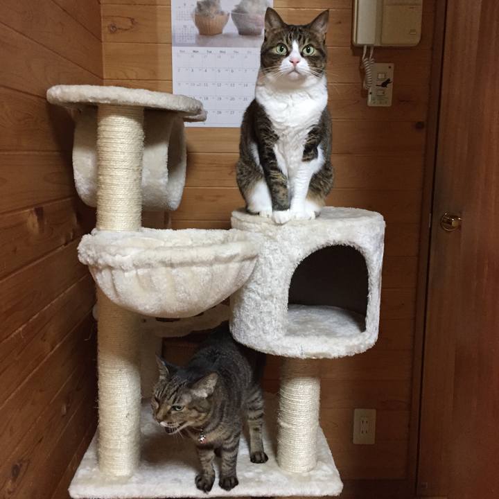 64f446e5 21d9 4278 94f2 d95a55703a6d