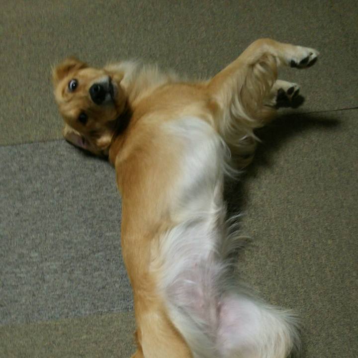 64f48852 eddc 4d01 b475 e7bc1bd77d1a