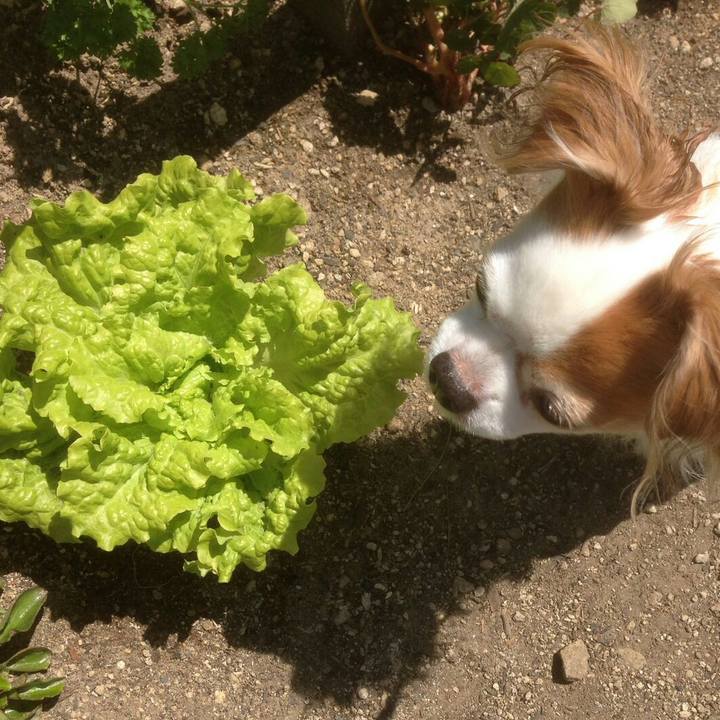 64f553d1 323e 4597 b56d 7502c60cbb12