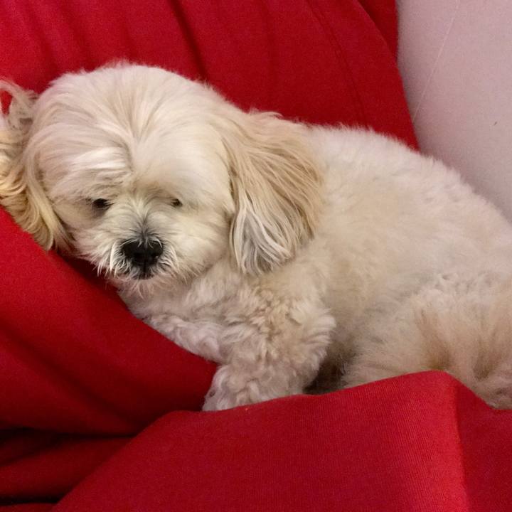 64f5663e 932e 4475 b390 d921b52089ca