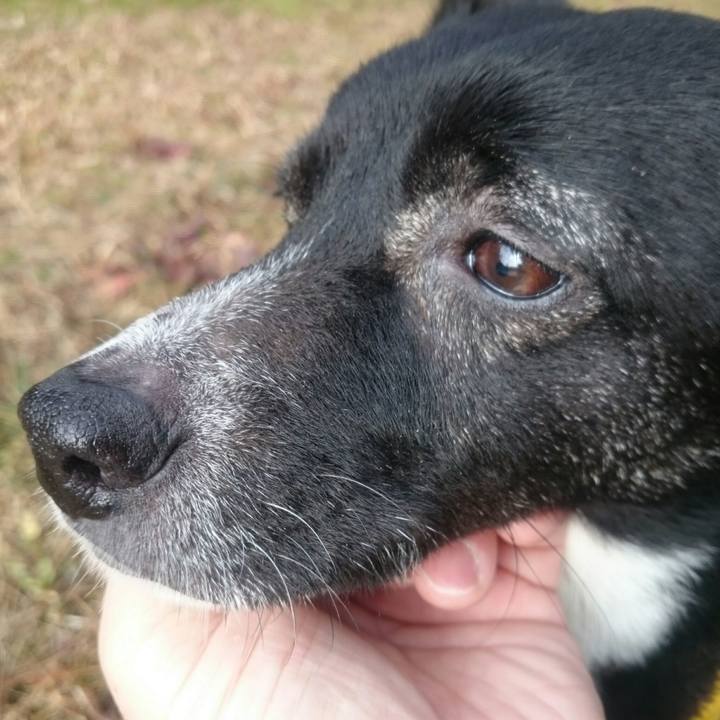 64f5905d 7b78 41b0 a28f ec444477bc42