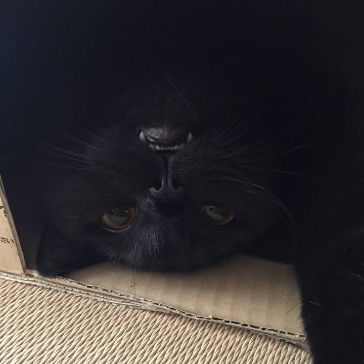 64f5e041 c6d5 4825 b924 3b345e6fd2c2