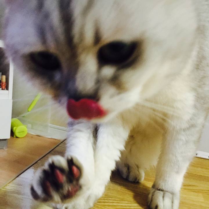 64f6c456 6ecf 4f37 b90e 95c7c9f3f023