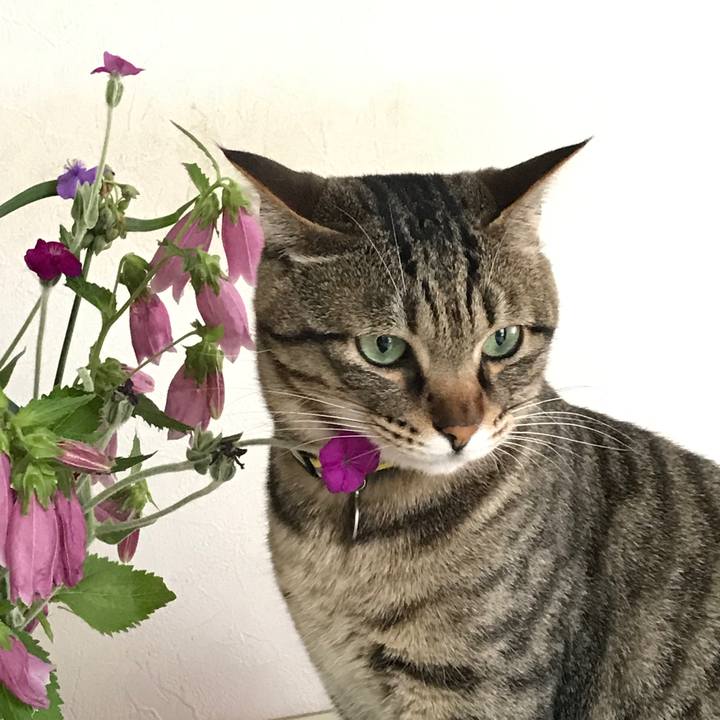 64f6fdca f496 40b3 b833 d02834549fad