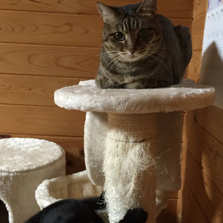 64f709b1 ceff 4f82 85c8 b4f00777215b