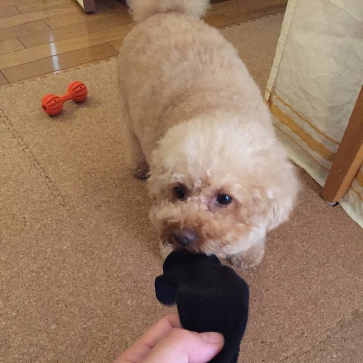 64f72e10 2680 40c5 8e05 85b27d2bb590