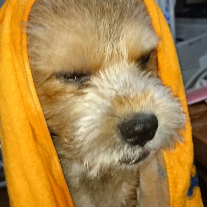 64f730c4 4a10 483d b1f6 9554135da8b3