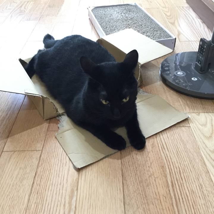 64f83e7a 814c 4272 83a3 e3a4dbf6075a