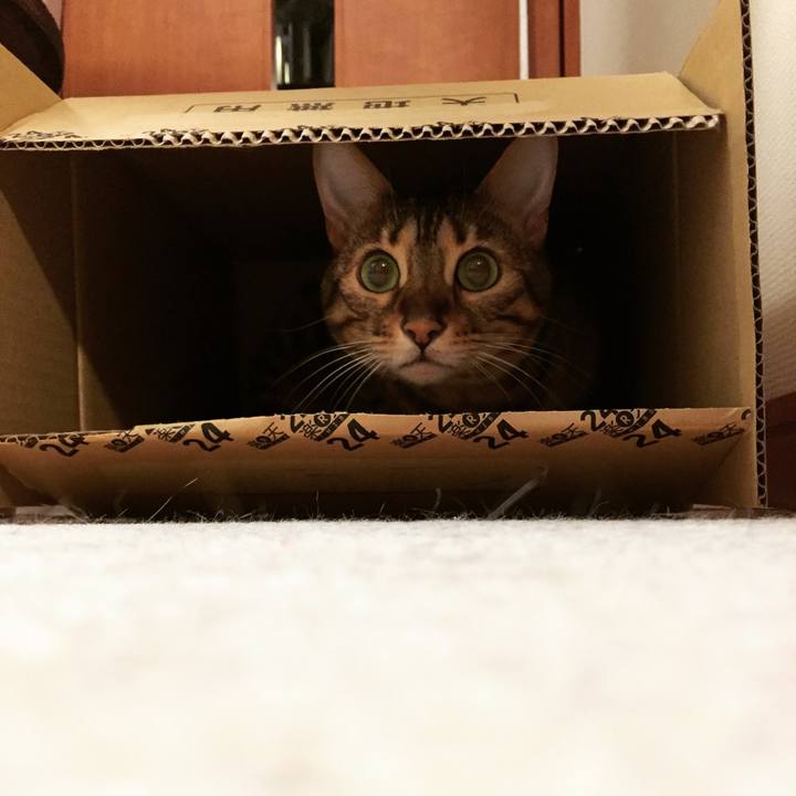 64f8d1a9 7c6c 4f14 9e97 9ea2e4e361b9