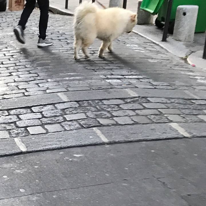 64f91aa3 79e6 4e28 9b3c f8e89a637525