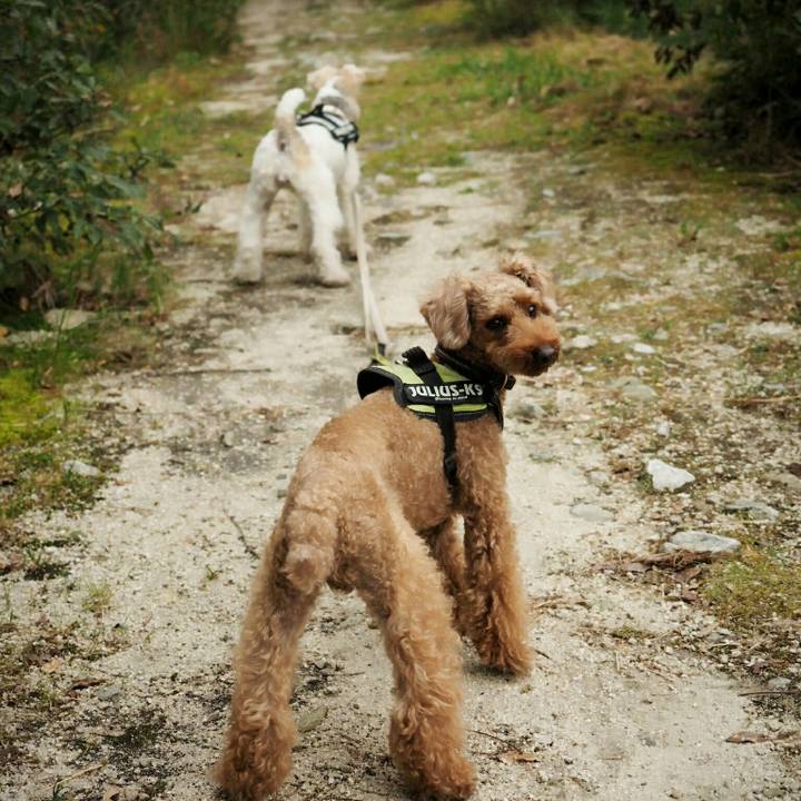 64fa3009 e38f 4943 b4b7 91c199702abe