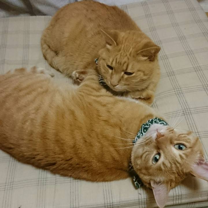 64fa74fe 08f8 4294 9468 7bf8f5a40252