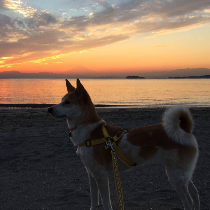 64fa9176 4a56 41f2 ae19 7c94fe0713ad