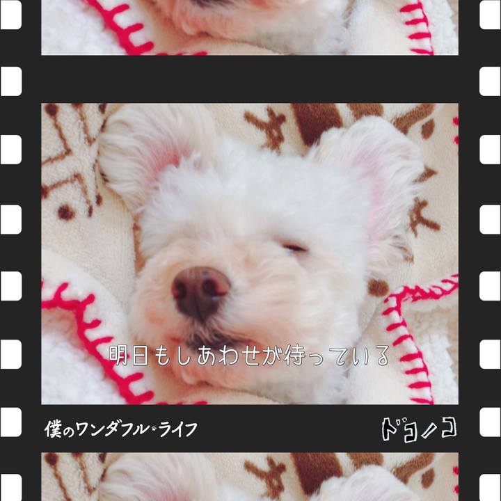 64faa484 7cb2 46f2 86f6 50c23ac60081