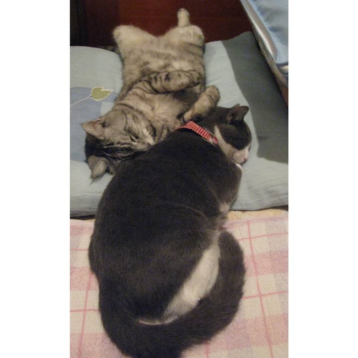 64fb0505 c8e1 4ab6 85d7 1b6b84464fe3