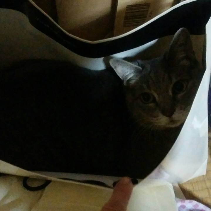 64fb3e95 0911 4ef6 943c 3aa42210c6ca