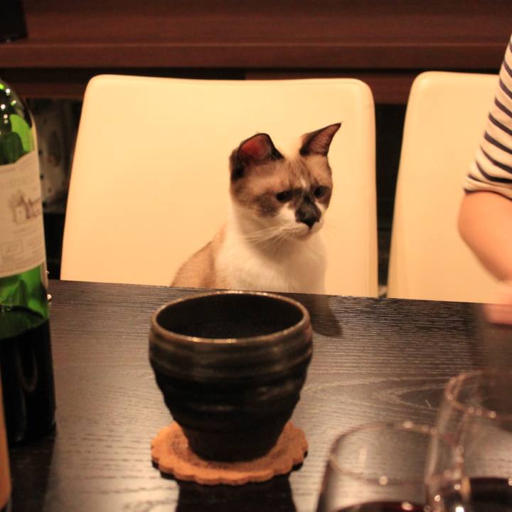 64fba4db 1801 4806 a27a 7d44d563732a