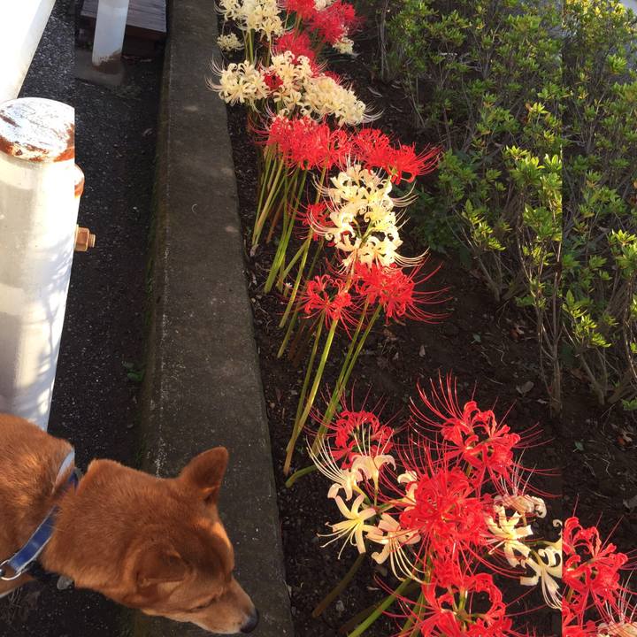 64fbdf2a 12a8 4dae 849c 6b54e36bf7ce