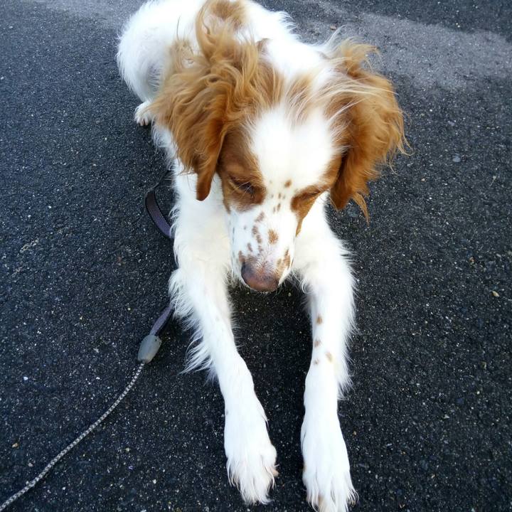 64fbe29f b065 4822 a26f e73296161996