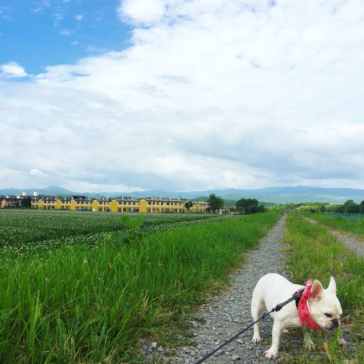 64fcd9c5 2e9e 4f01 ab20 f6d4bce61619