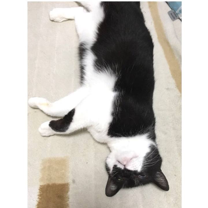 64fd0573 958b 43a0 b962 e6b0c203580f