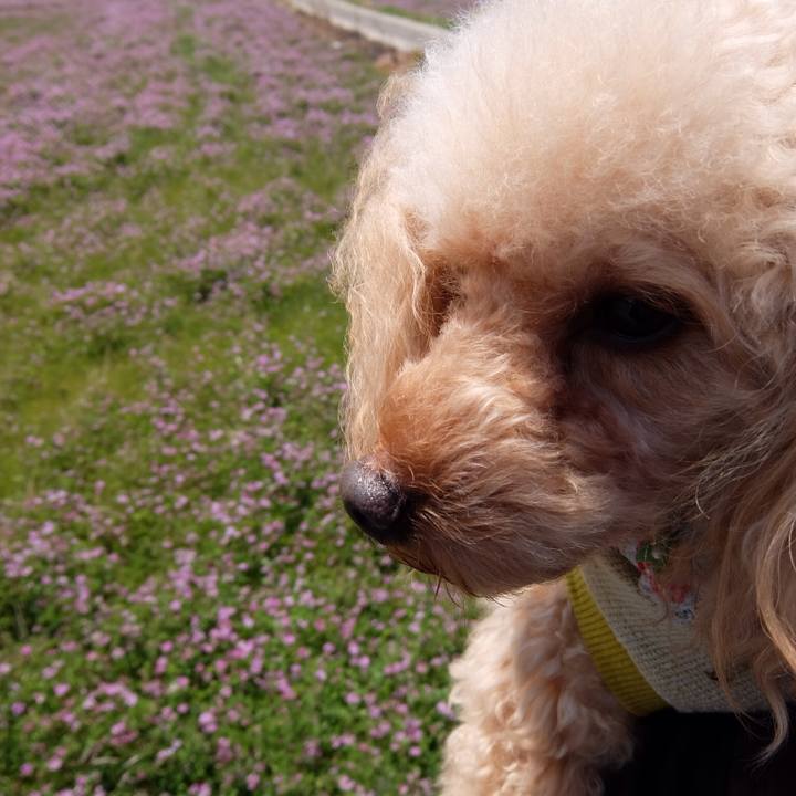 64fe2f9e 2722 48ec 8512 c2f53a69df09