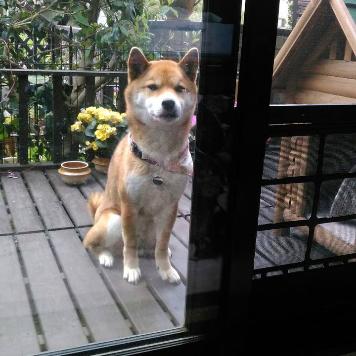 64fe40eb b2b1 4b89 90dc 9fe72054e0d6