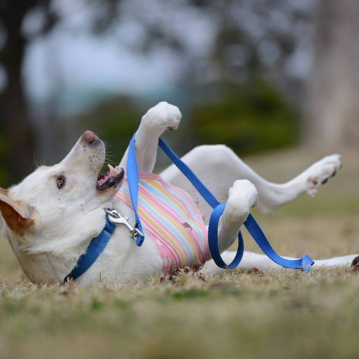 64fe65d7 a7a4 4584 99c9 4eca2c30cc64