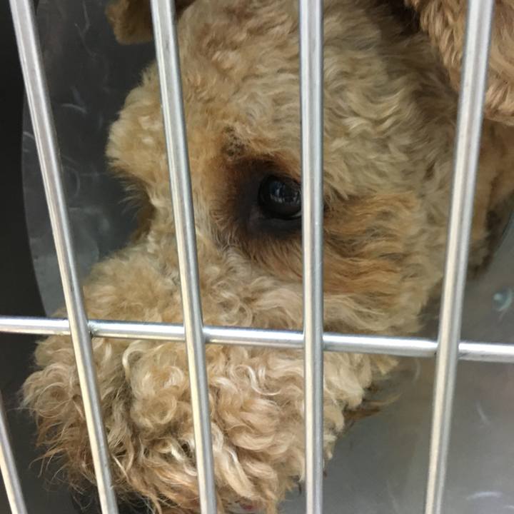 64feae60 b44b 4151 943b b5d11a5e3c0e