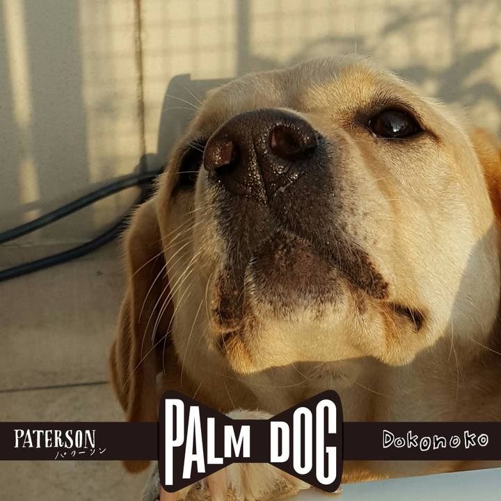 64fed099 74d0 4eda 8ff8 46ef9f32ba5f