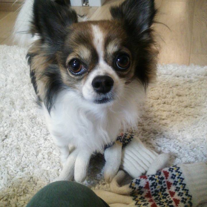 64fefa08 5360 40cc 9b23 30ecf1cfce10