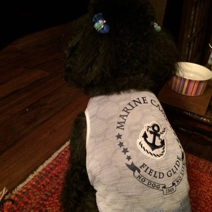 64ffc209 0328 47c3 884f c274cc67efcd