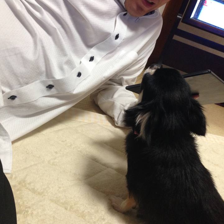 650018b1 294c 4656 b4ec cb674df414f3