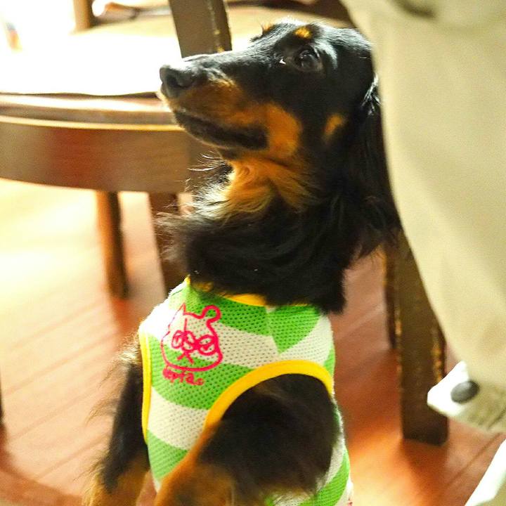 6500efd2 4fe8 41f7 a37e 93b3c58999cc