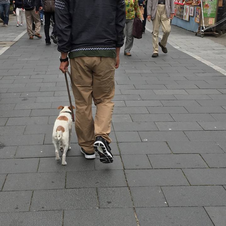 65012e7a e714 44e4 b876 a4cea80e913a