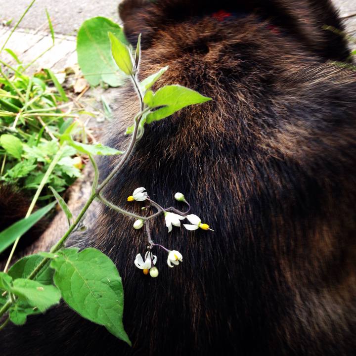 6501b266 e4a3 435f 8d74 cb86f5a562bd