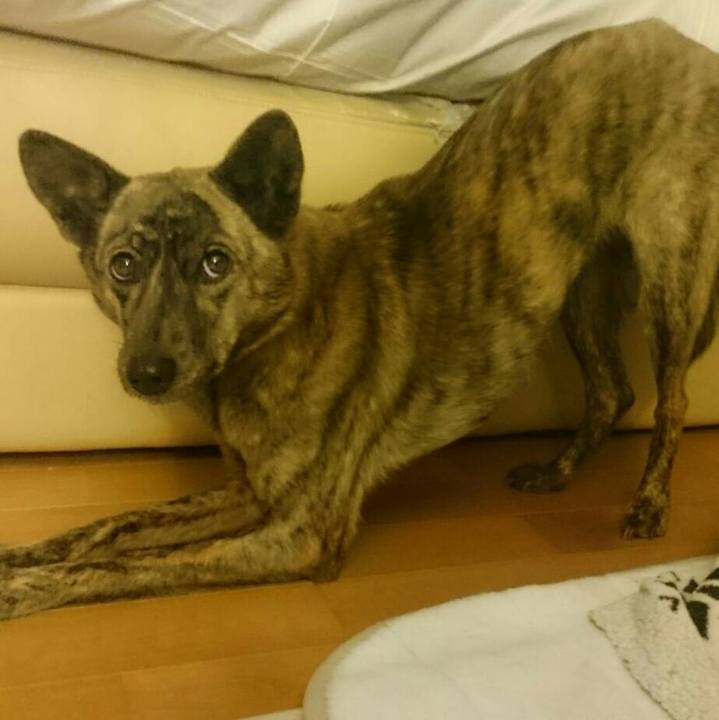 65021470 6131 4373 bae4 f2c246f8e94e