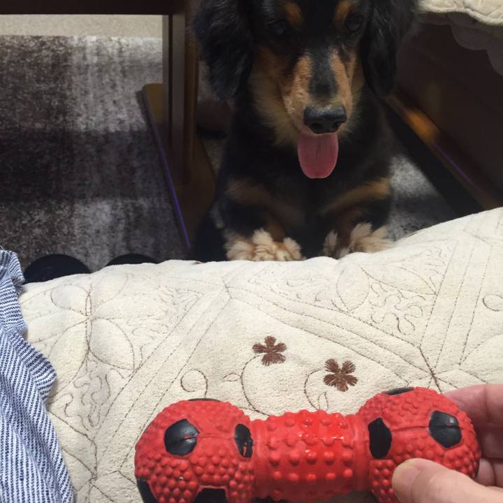 6503beea 57d4 41a4 9310 c94fcf883360