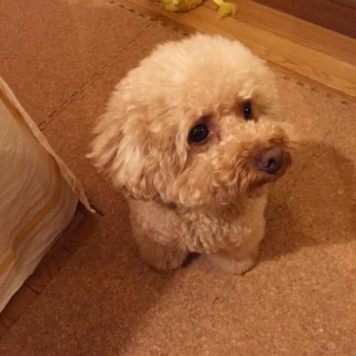 6503e955 e0d8 4810 bdde 1497d8c5be64