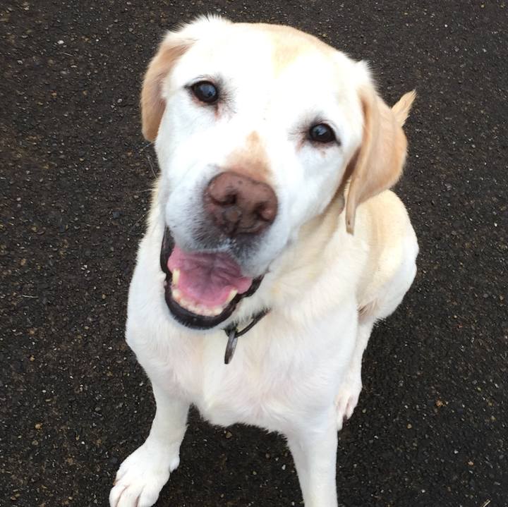 65048a5b be20 4acb 8777 2b43543fe229