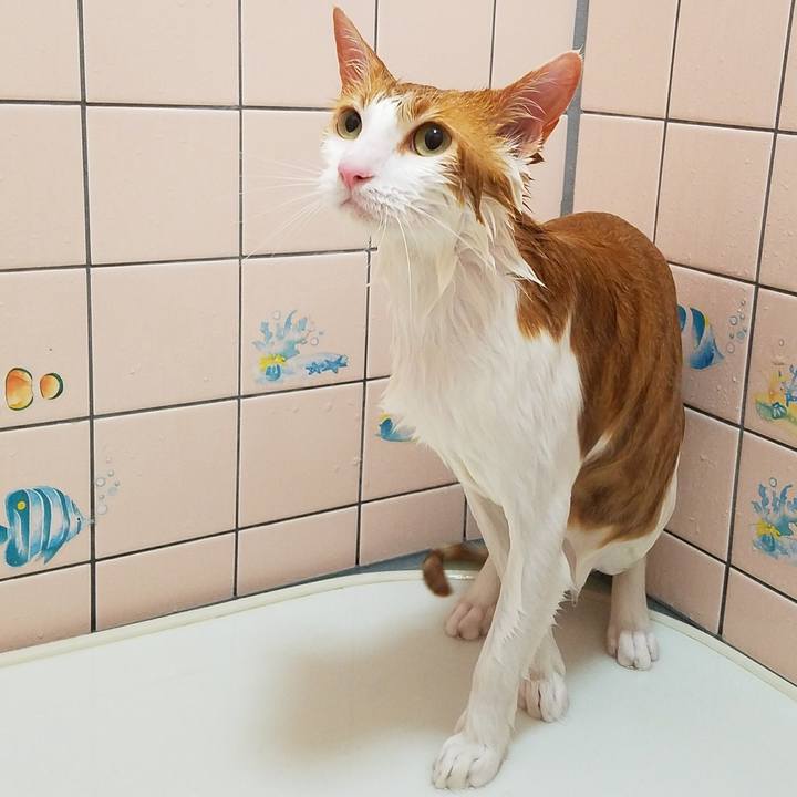 65049817 0bce 4b51 b48c 909dc03bc81f