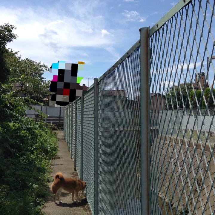 65051ebc b204 48d0 9a15 165ad1bfe4da