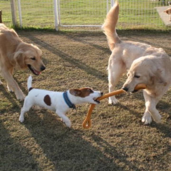 650603c5 d97d 420a 9257 58946904a1e7