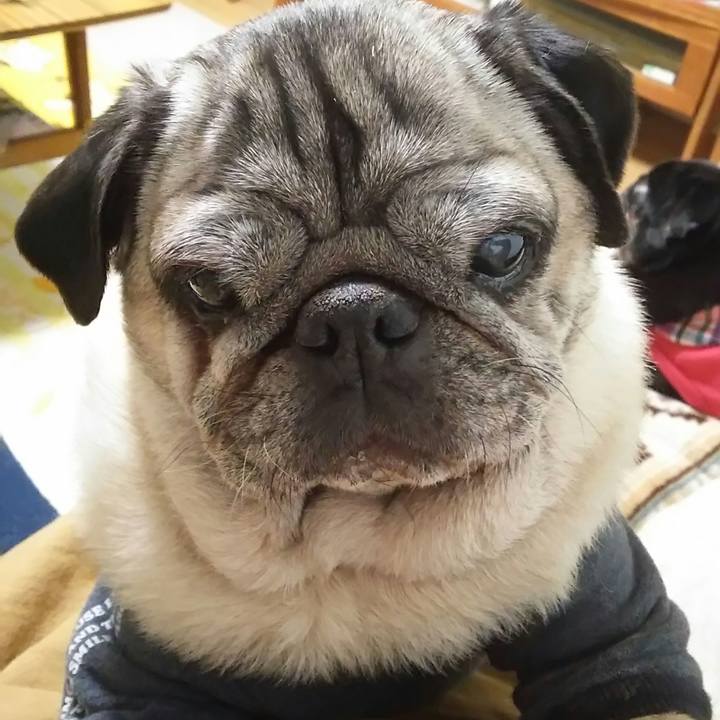 65071892 d209 48e3 ace0 0827d9975eaf