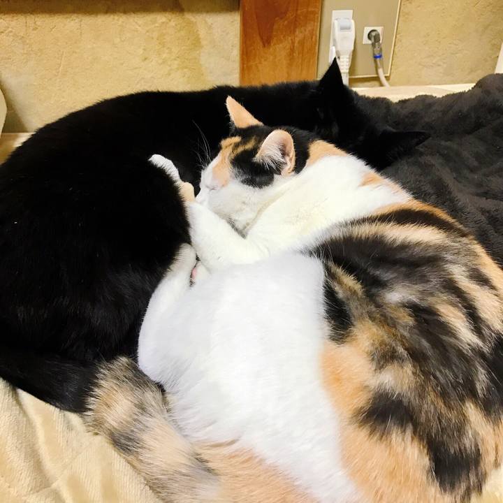 65074bbe 330b 4686 96f8 fcb5351c1807