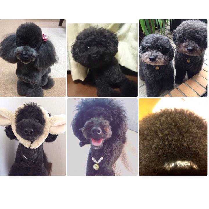 65076248 7ada 4a5a a902 35b47904002a