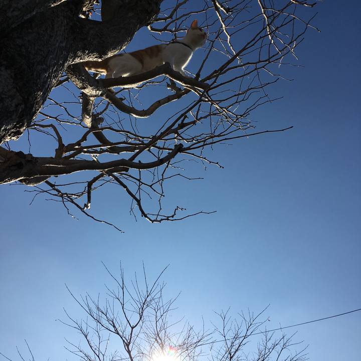 6507ad44 885a 4274 982c 0b8823f5c8f7