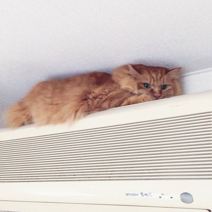 6507b2ad bfbe 4f32 97b8 ec9419c8b65d