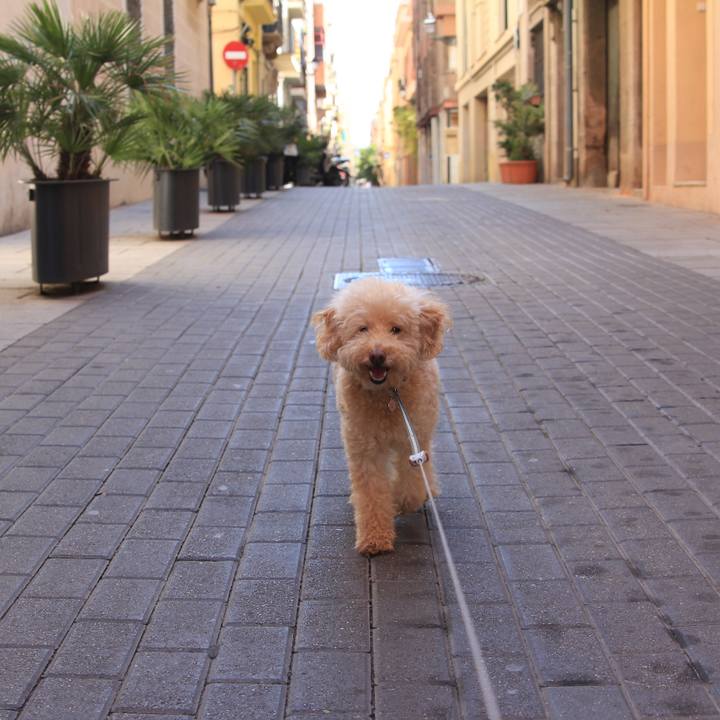 6507f40a be48 4378 b0d3 7ee2ff712d94